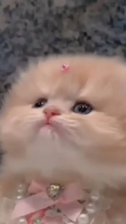 ai character: Pb background