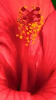 ai character: stranger things background