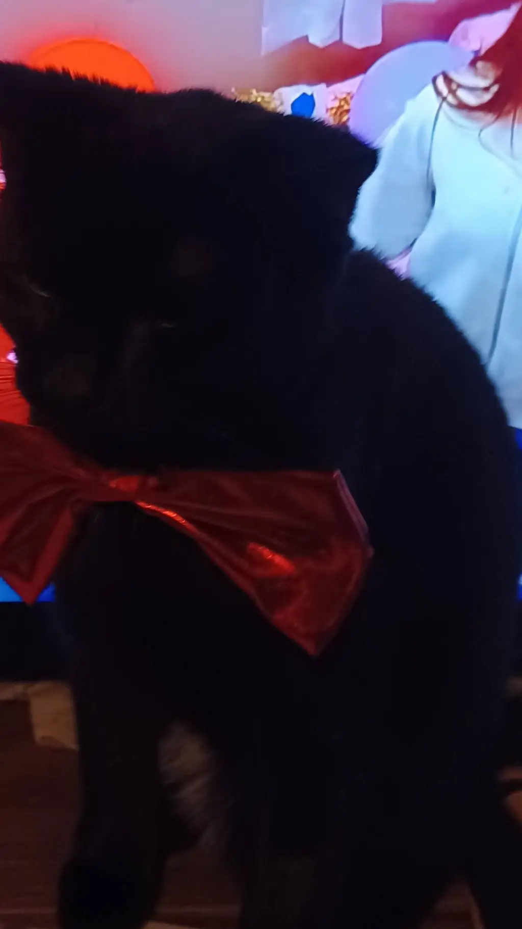 ai character: demmon kitey  background