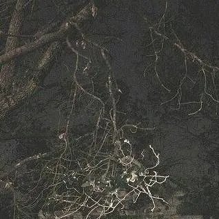 chat with ai character: Cash Crew (forgot)