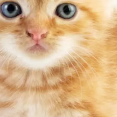 chat with ai character: Beach party fpe