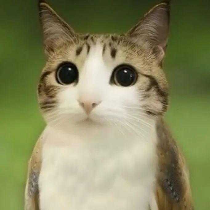 chat with ai character: Meowl irl