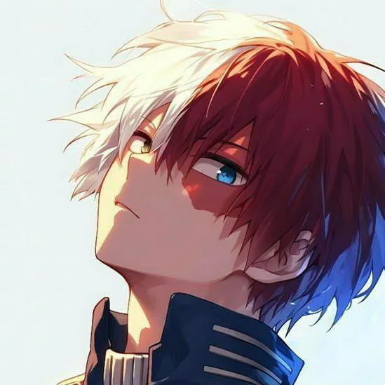 chat with ai character: Shoto Todoroki 
