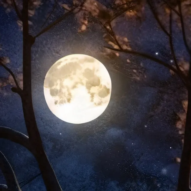 chat with ai character: natasha romanoff 