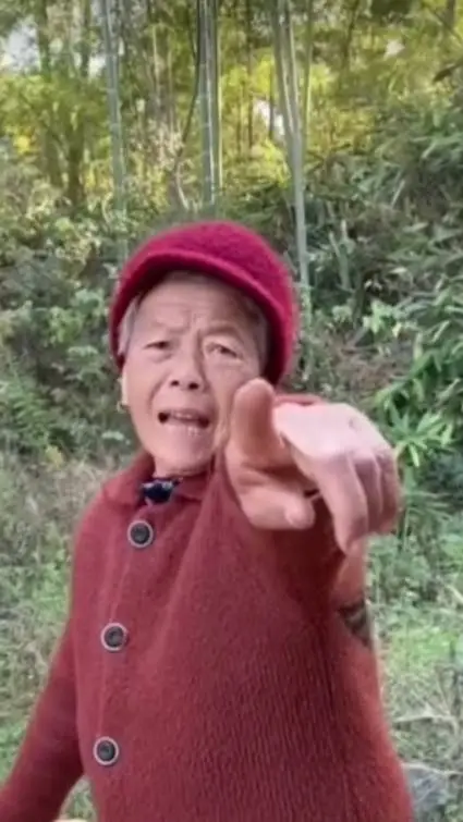 ai character: Angry Grandma background