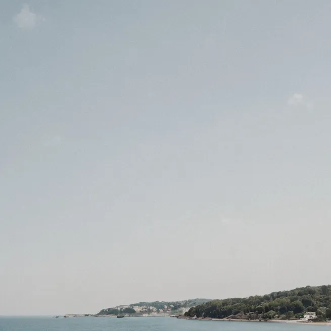 chat with ai character: surviving summer 