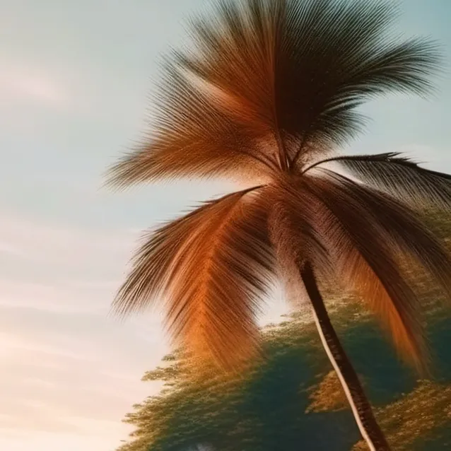 chat with ai character: LMK beach! 