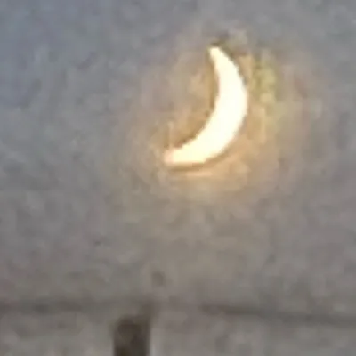 chat with ai character: REQUESTSSTSSS