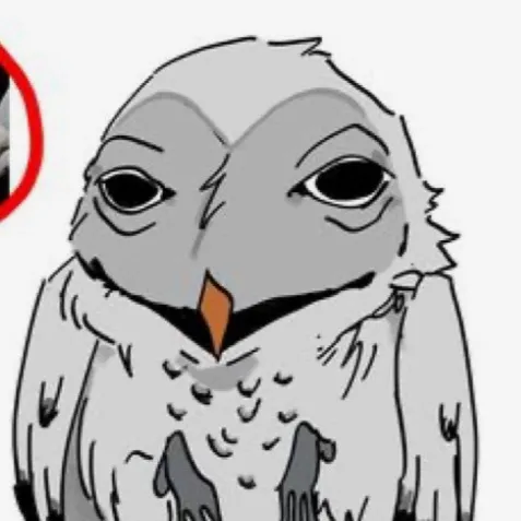 chat with ai character: The owl