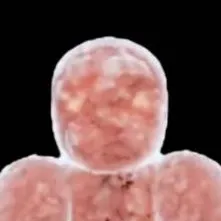 chat with ai character: hospital monster 2