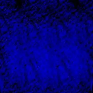 chat with ai character: booker