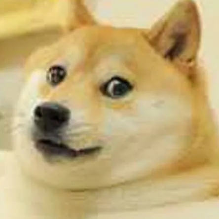 chat with ai character: fat doge