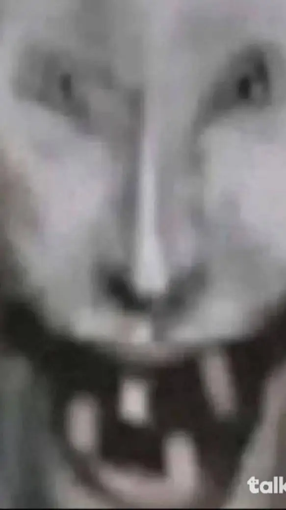 ai character: Vee background