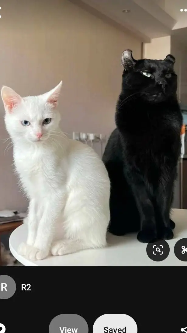 ai character: flint background