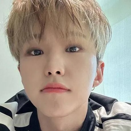 chat with ai character: Hoshi Seventeen 