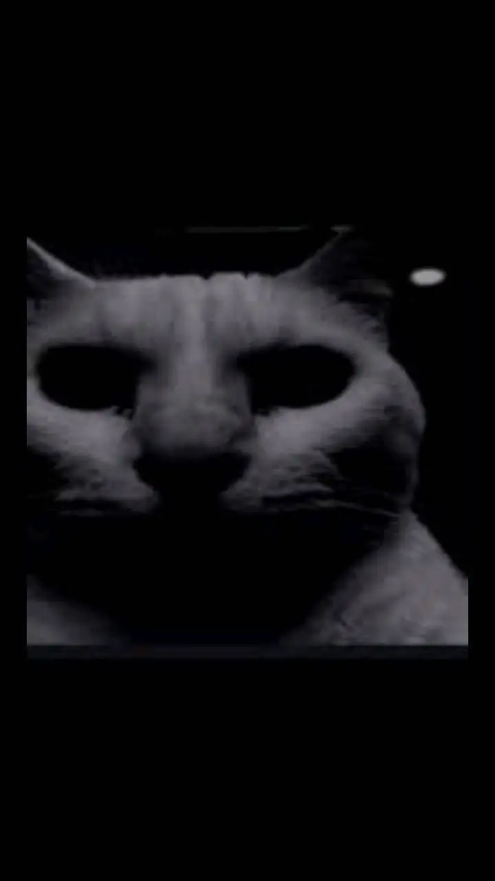 ai character: kitty cat background