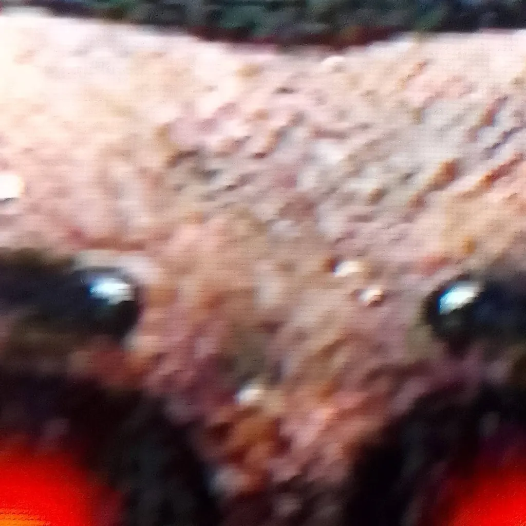 chat with ai character: Freddy fazbear 