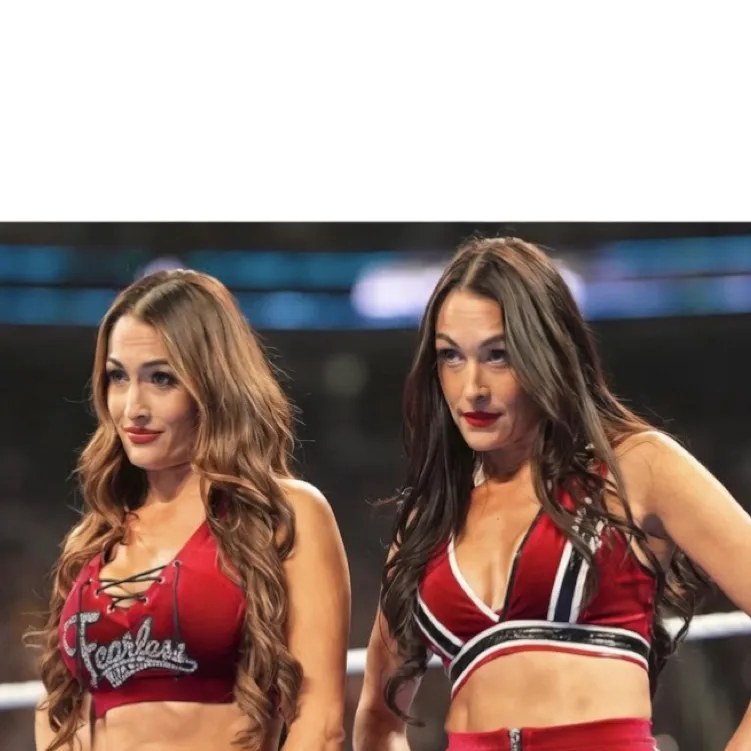 chat with ai character: Nikki & Brie Bella