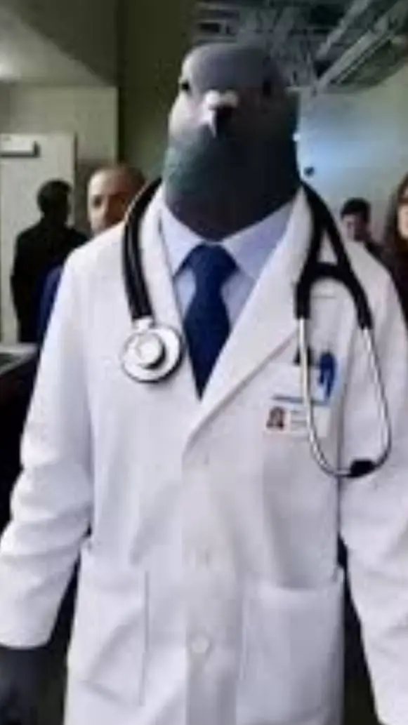 Talkie AI - Chat with AURA PIGEON