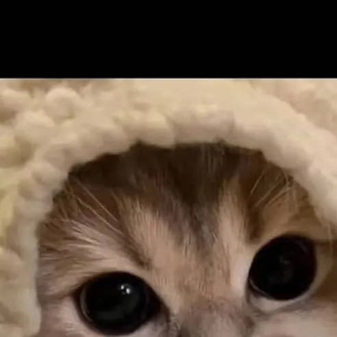 chat with ai character: Olivia 