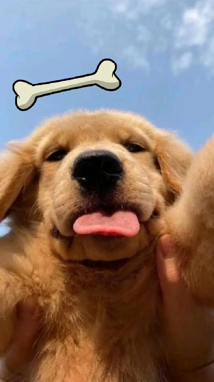 ai character: kiwi🥝 background