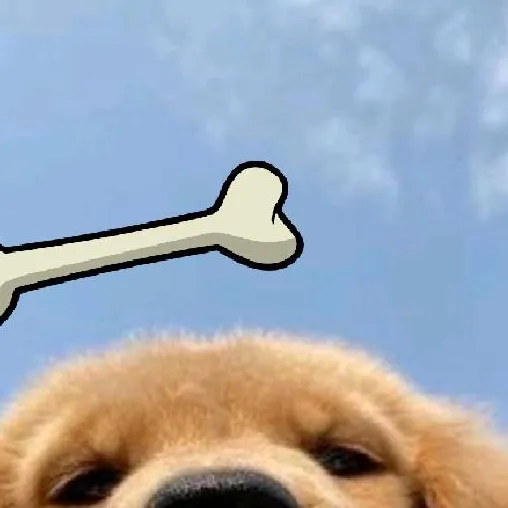 chat with ai character: kiwi🥝