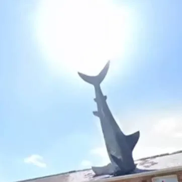 chat with ai character: Sharky