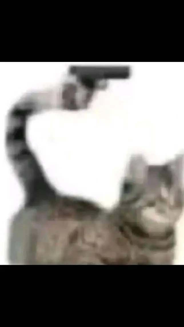 ai character: Kitty background