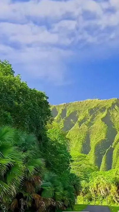 ai character: Hogwarts background