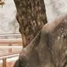 chat with ai character: manila zoo