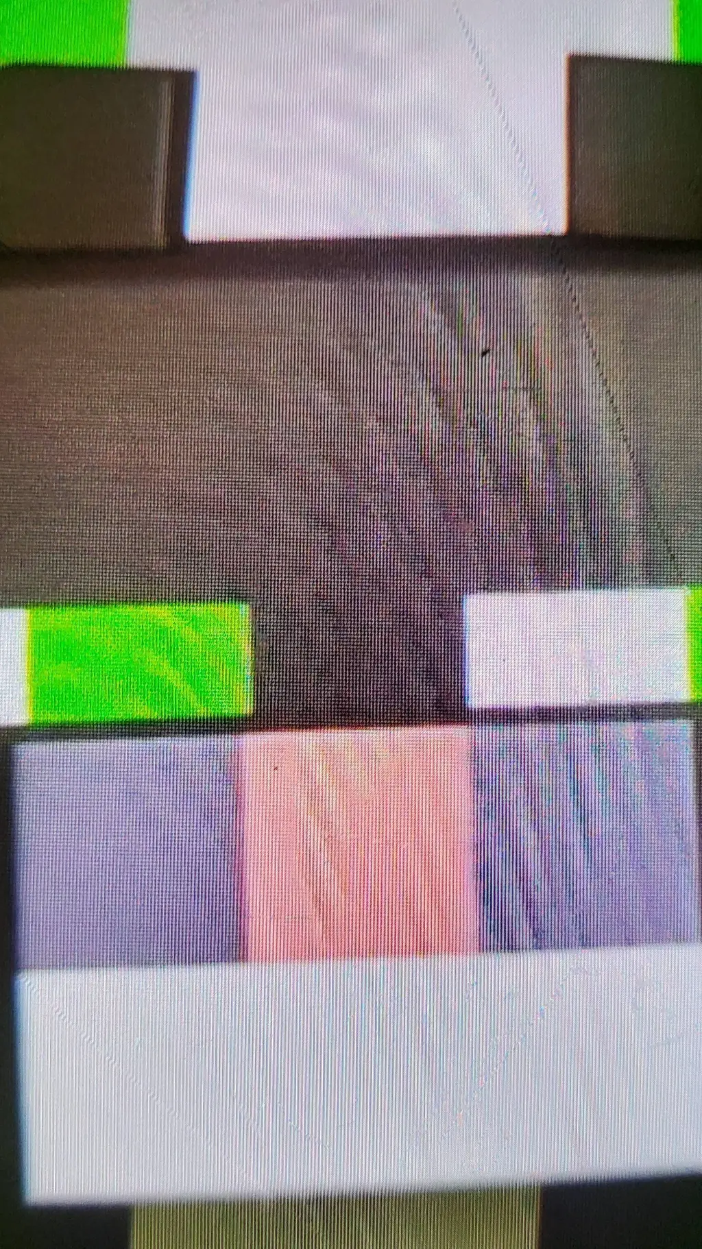 ai character: minecraft cat background