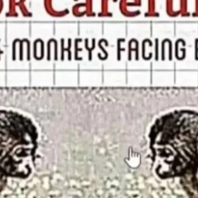 chat with ai character: Monkeys