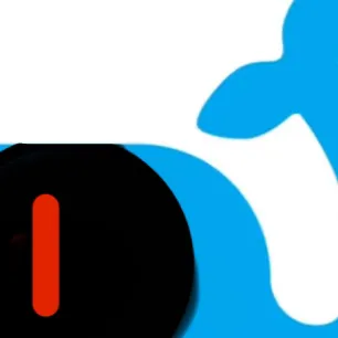 chat with ai character: Scary whale 