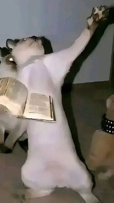 ai character: DailyBibleVerse background