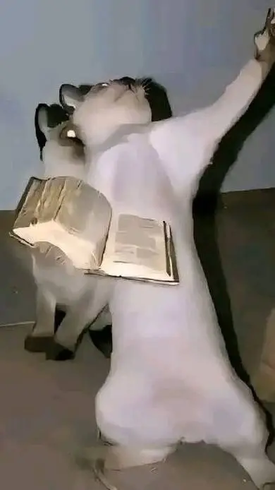 ai character: DailyBibleVerse  background