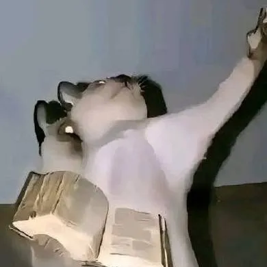 chat with ai character: DailyBibleVerse 