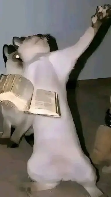 ai character: DailyBibleVerse  background