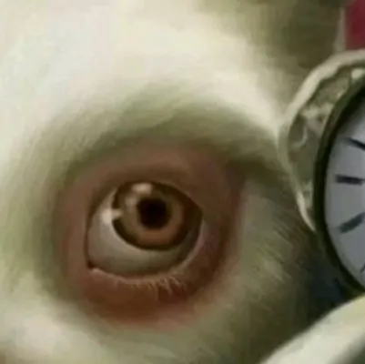 chat with ai character: The bunny