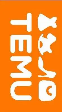 Talkie AI - Chat with this is temu