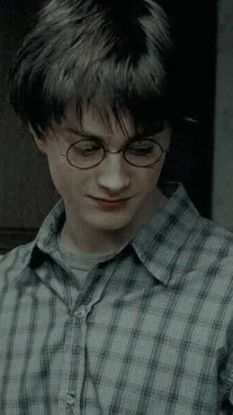 ai character: Harry Potter  background