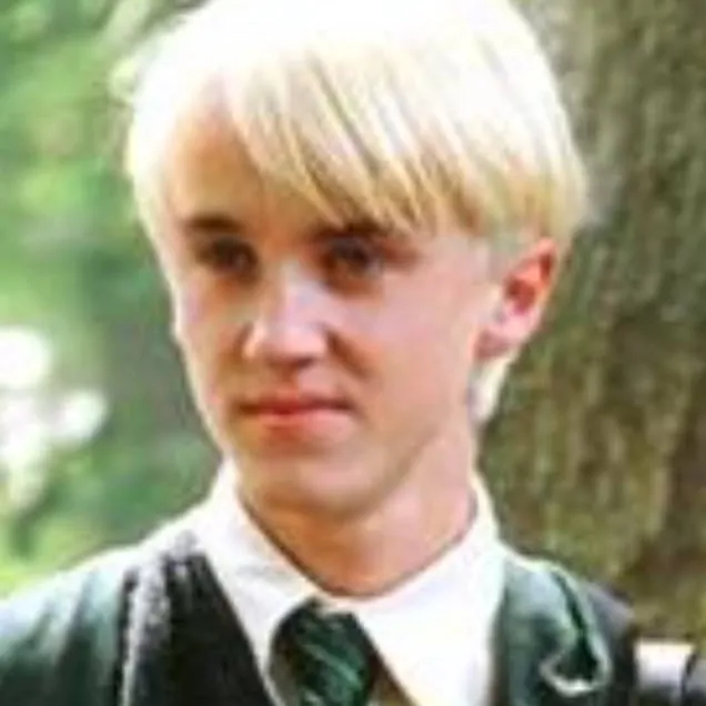 chat with ai character: Draco Malfoy