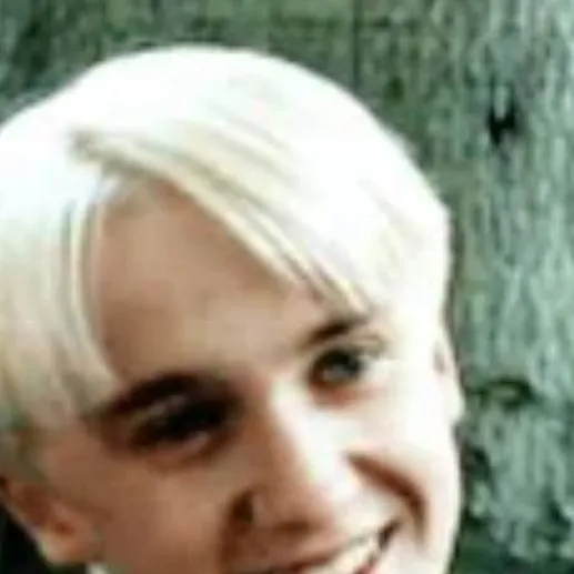 chat with ai character: Draco malfoy