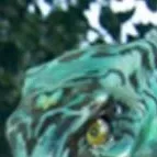 chat with ai character: Ikran 