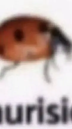 ai character: HELP background