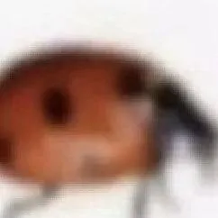 chat with ai character: HELP