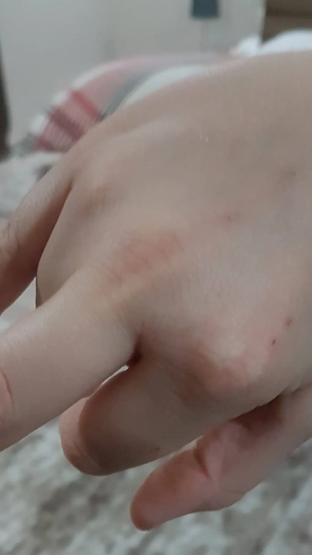 ai character: Ed background