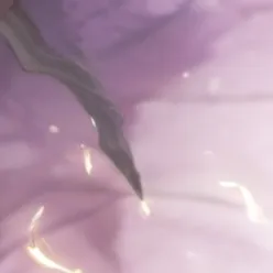 chat with ai character: Nya