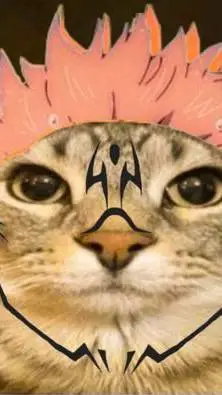 ai character: sakuna cat background