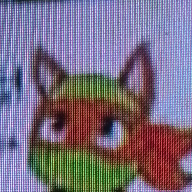 chat with ai character: Mikey cat