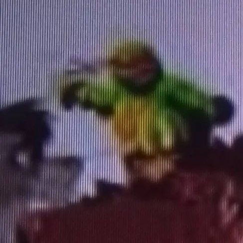 chat with ai character: Raph as a Lion